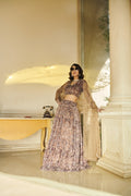 Brown Net Blouse ,Brown Net Lehenga , Organza Dupatta image 0