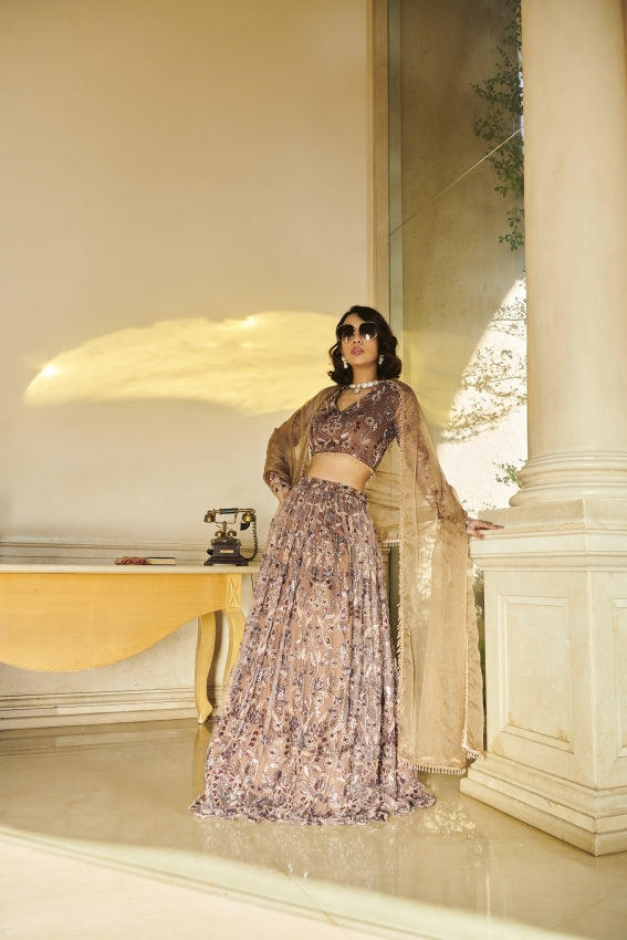 Brown Net Blouse ,Brown Net Lehenga , Organza Dupatta image 0