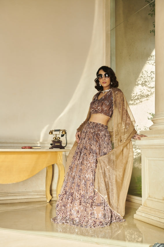 Brown Net Blouse ,Brown Net Lehenga , Organza Dupatta image 1